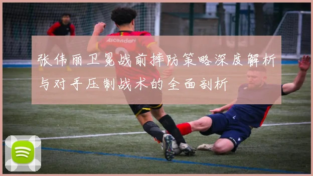 张伟丽卫冕战前摔防策略深度解析与对手压制战术的全面剖析
